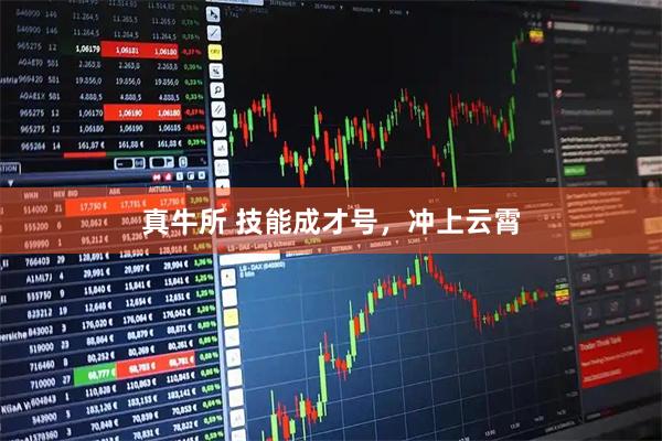 真牛所 技能成才号，冲上云霄